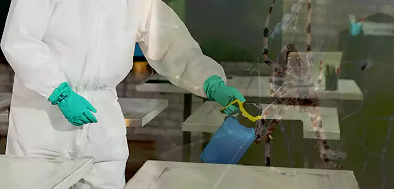 Why Buyers Still Want Homes With Pest Infestations in Worcester, MA?