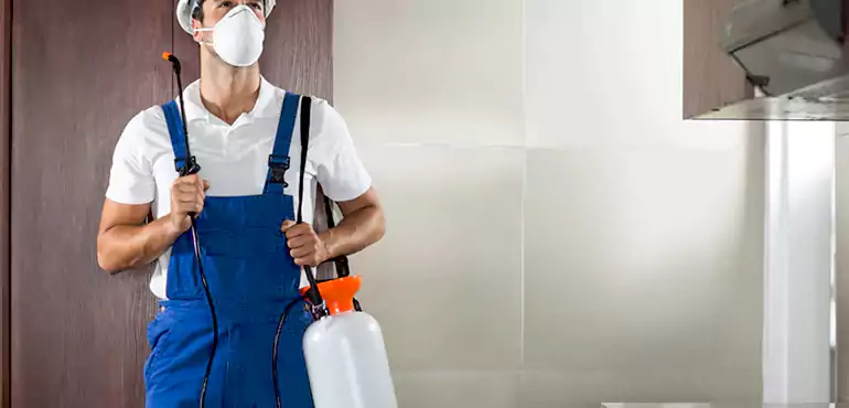 Why Worcester Homeowners Choose Us When Pests Make Selling Difficult